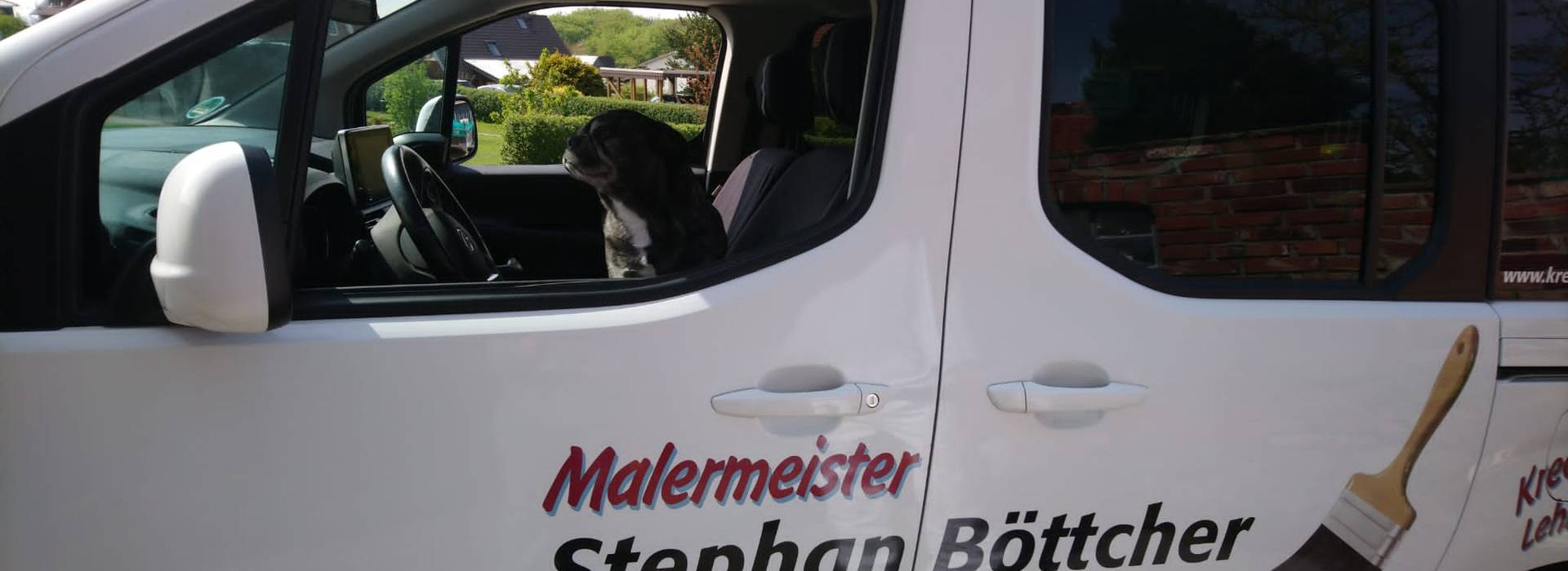 Hund im Auto